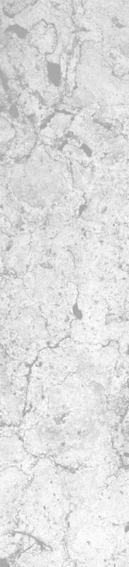 chromiumshop.com